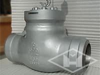 Stainless Steel Flange Type Swing Check Valve